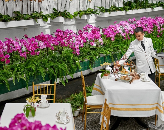 【クアラルンプール】マジェスティックホテル アフタヌーンティー 選べる会場（蘭に囲まれたラウンジ or 伝統的な英国風ラウンジ）